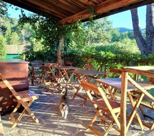 Podere 269