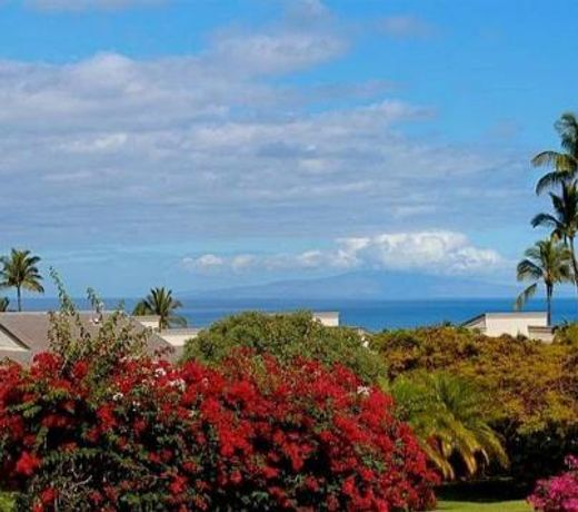 Wailea Ekolu #805