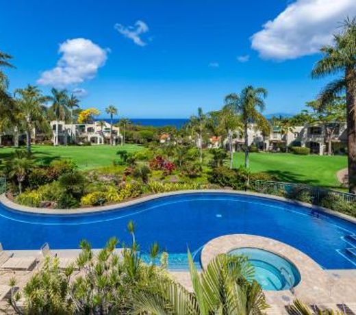 Palms at Wailea #1803