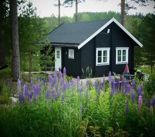 Froya Timber Cottage