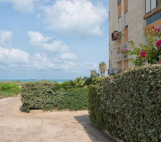 Dream Near the Beach