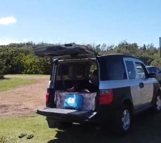 Vehicle with Camping Gear, you pick your own campsite, Airport Pickup and Drop off