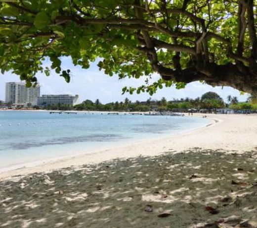 Beach One Bedroom Suite A29