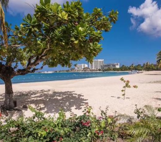 Sunwind Ocean View Suite at Turtle Towers
