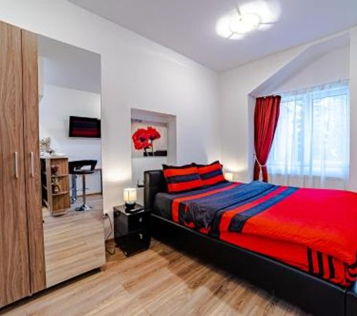 Poarta Schei Studio