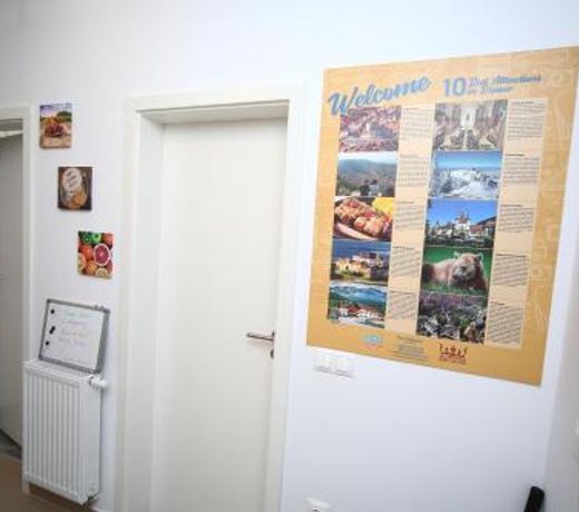 B&M Apartment