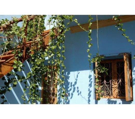 Villa Diletta Luxor