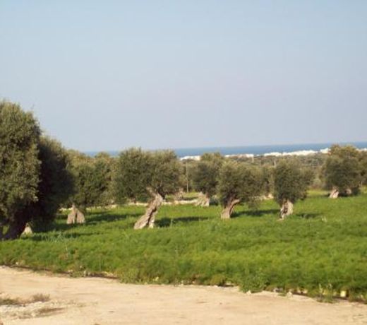 Masseria Ricci