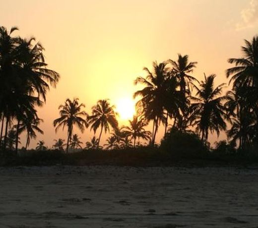Majorda Beach Holiday Apartment