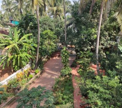 Sequeira Guest House 2