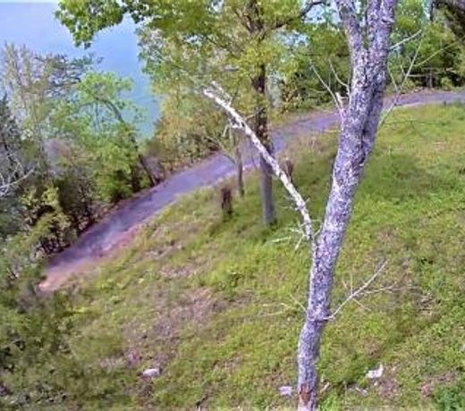 Free Xplorie Attractions Every Day! - Lakefront Cottage