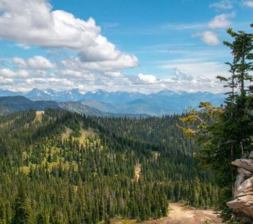Lodgepole Upper Condo