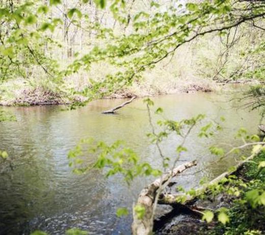 Tentrr - Creekside Woods Getaway