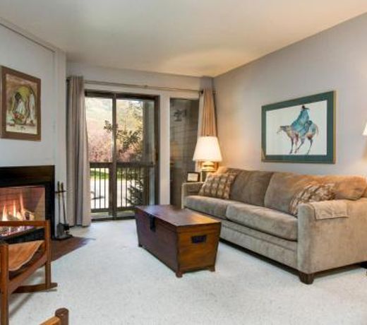Mountain Condo 1530