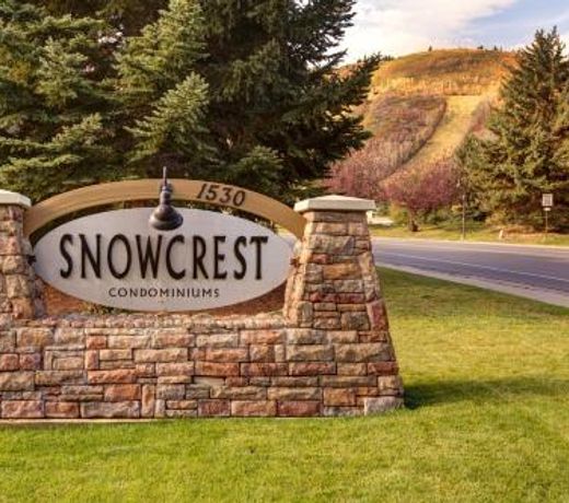 Mountain Condo 1530