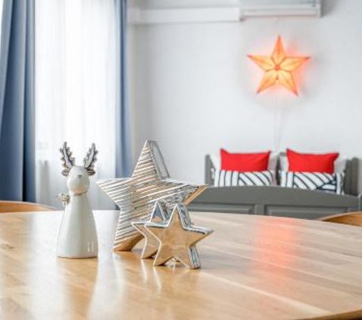 Spacious ultracentral apartment