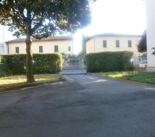 La Magnolia