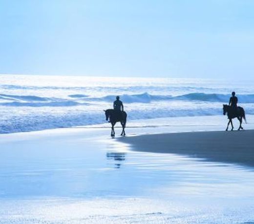 Stunning Oceanview Coastal Home Beach Trails Family Activities