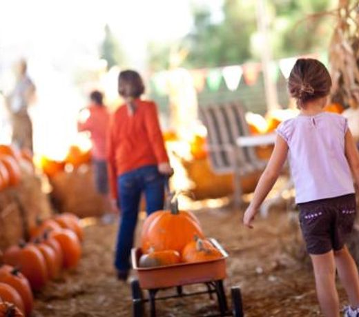 Miramar Beach Home Walk to Beach Trails Restuarants Family Activities