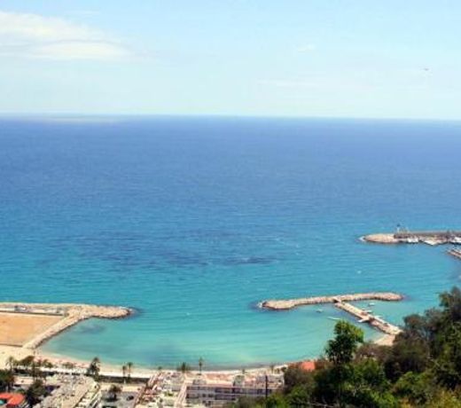 Les Citronniers d'Azur