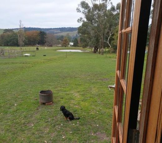 Berrys Creek Tiny House