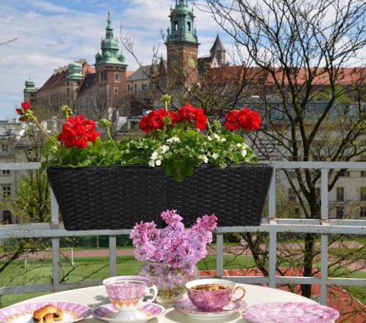 Castle View Boutique Apartment