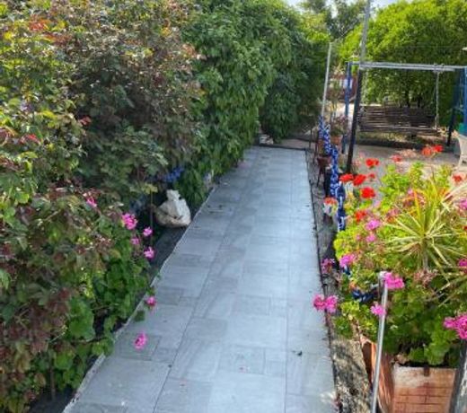 Asbn Magic Garden