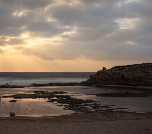Presiada heart of Akko