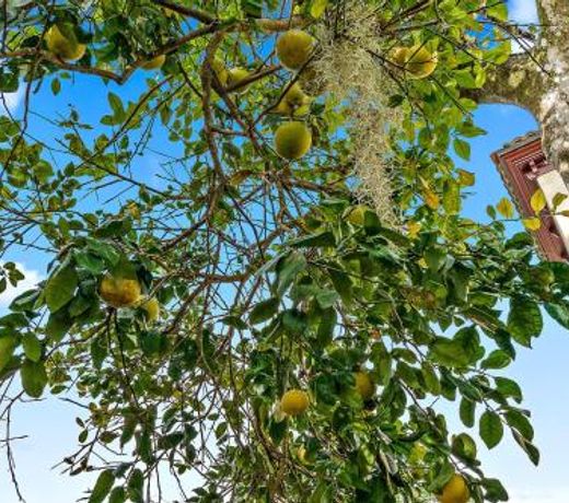 Citrus Hideaway - Steps to City Center