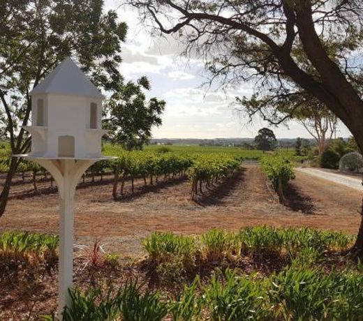 'In The Vines' Guest Cottage, Barossa Valley