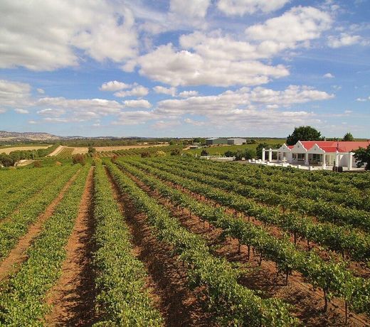 Barossa 1837 Luxury Vineyard Cottage 3