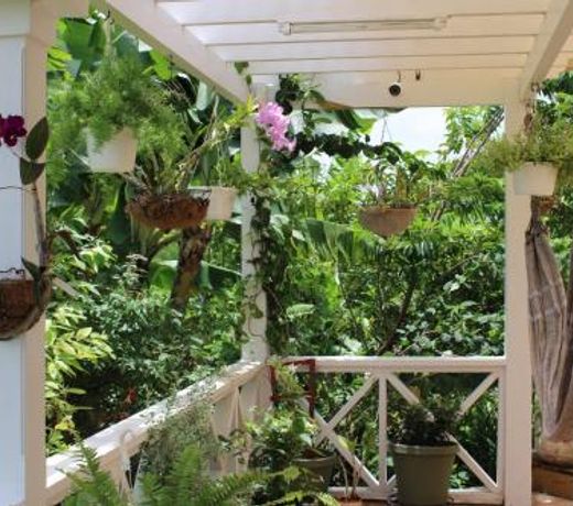 Tropical Garden Cottage Antigua