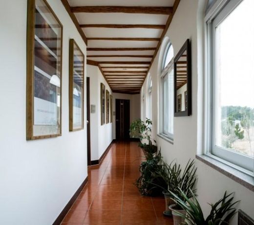 Seogwipo Tteuribada Pension