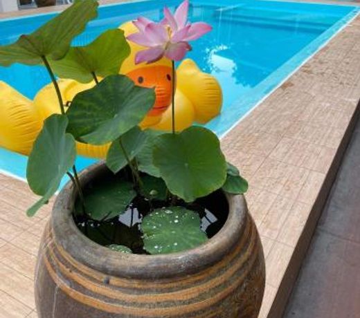 Tropical Hill Pool&Spa Villa 181
