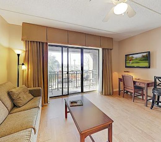 New Listing! Lovely River-View Condo with Balcony condo