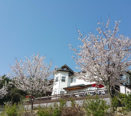 Gyeongju Todarun Saesang Pension