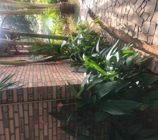 Anâs House ( Diem Villa )