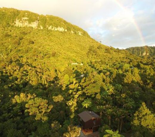 Punakaiki Forest Retreat