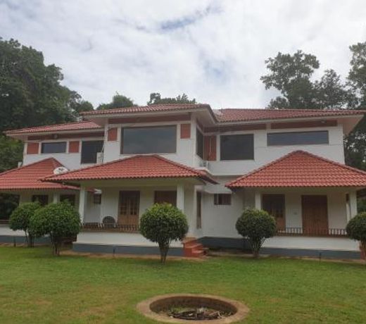 Tropical Blooms Coorg