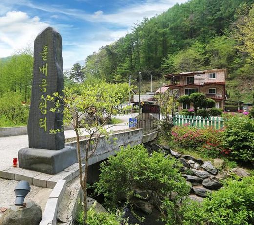 Pulneum Pension