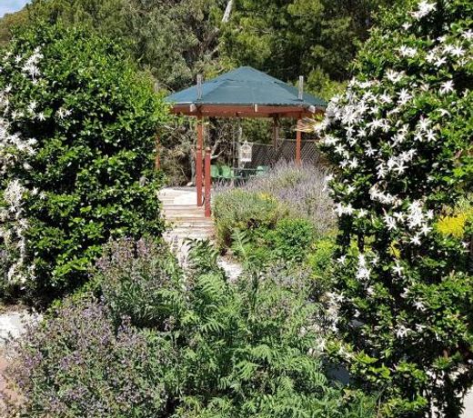 Barossa Glen ~ Henri's Cottage ~ Bed & Breakfast