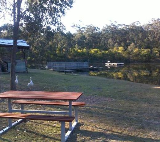Wallaby Leap