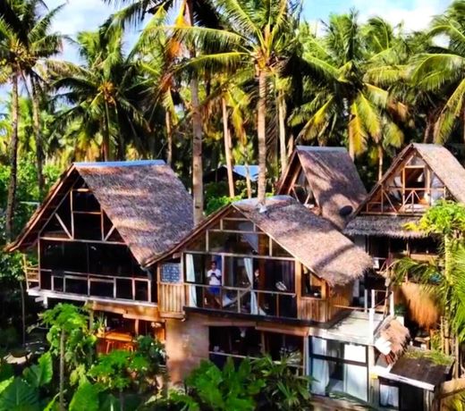 Tarzan's Suite(front beach property)DOT accredited