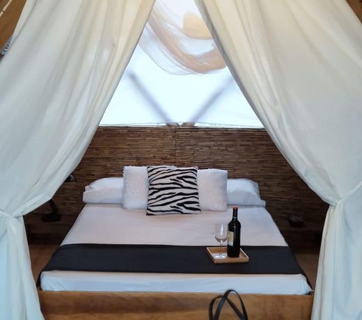 Janeâs Loft (Seaview) DOT accredited