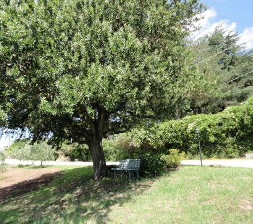 Grazioso appartamento in villa