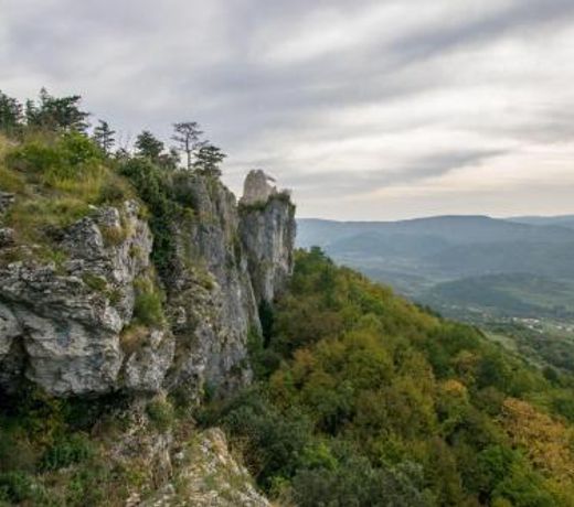 Holiday Home Pri Roktovih