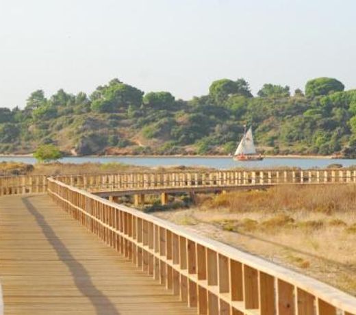 Fazenda do Sul
