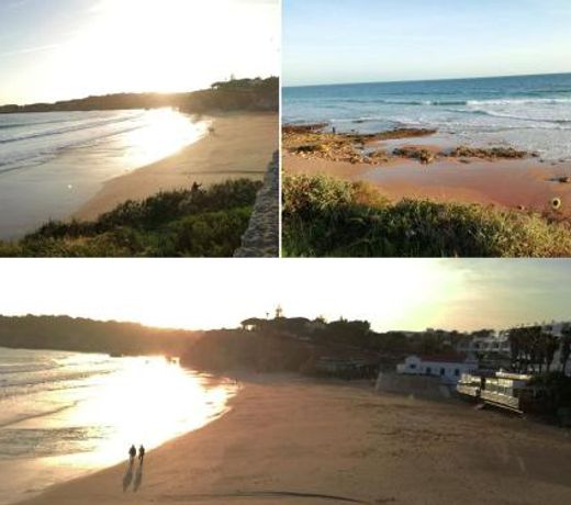 Apartamento Praia Vau T1