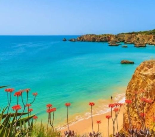 PARAISO DE ALVOR - A true paradise in an amazing nature place with direct access to the pool - Peace