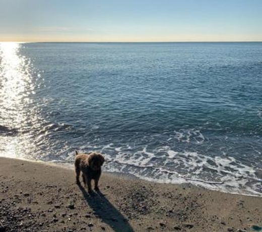 French Riviera Deluxe near Nice airport